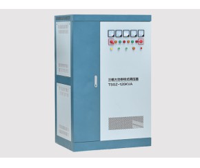 TDGZ/TSGZ大功率柱式電動(dòng)調(diào)壓器